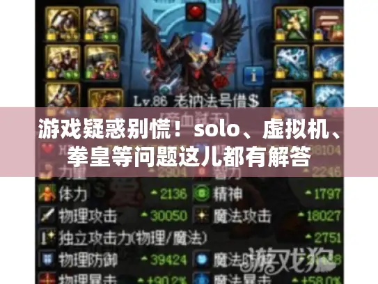游戏疑惑别慌！solo、虚拟机、拳皇等问题这儿都有解答