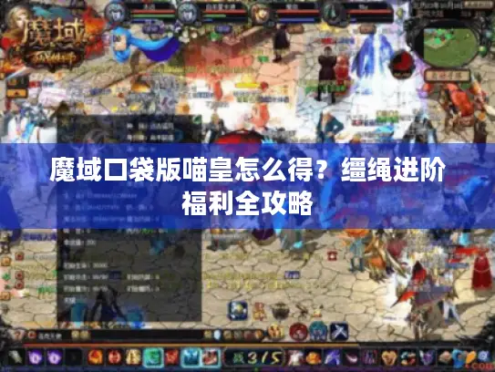 魔域口袋版喵皇怎么得？缰绳进阶福利全攻略