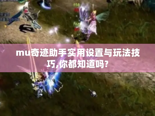 mu奇迹助手实用设置与玩法技巧,你都知道吗?