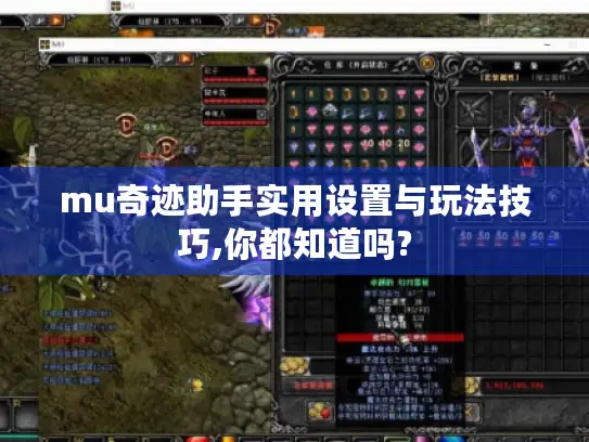 mu奇迹助手实用设置与玩法技巧,你都知道吗?