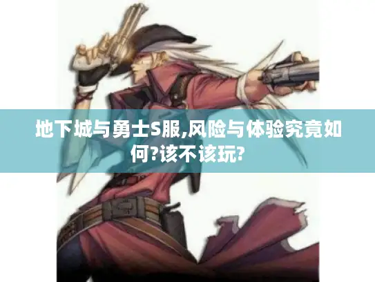 地下城与勇士S服,风险与体验究竟如何?该不该玩?