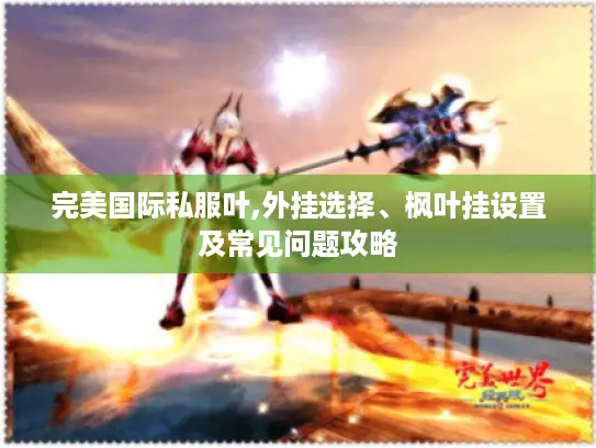 完美国际私服叶,外挂选择、枫叶挂设置及常见问题攻略 完美国际私服叶,外挂选择、枫叶挂设置及常见问题攻略