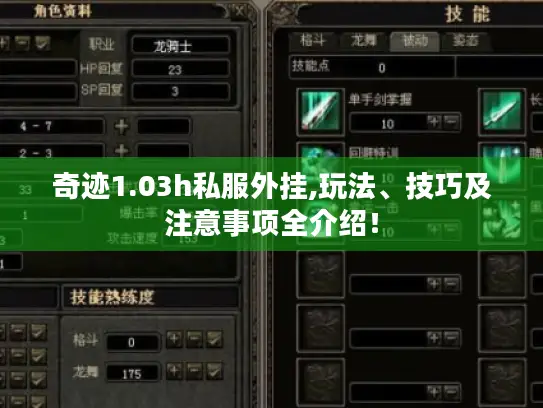 奇迹1.03h私服外挂,玩法、技巧及注意事项全介绍！