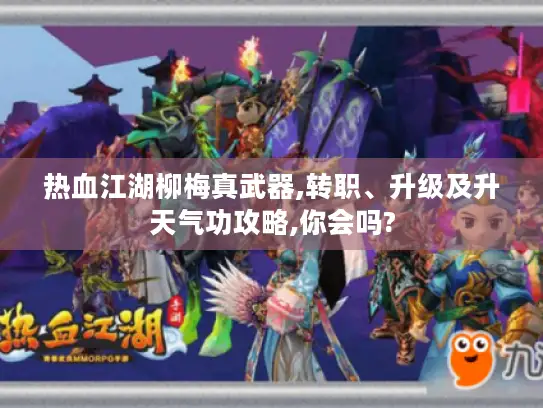 热血江湖柳梅真武器,转职、升级及升天气功攻略,你会吗? 热血江湖柳梅真武器,转职、升级及升天气功攻略,你会吗?