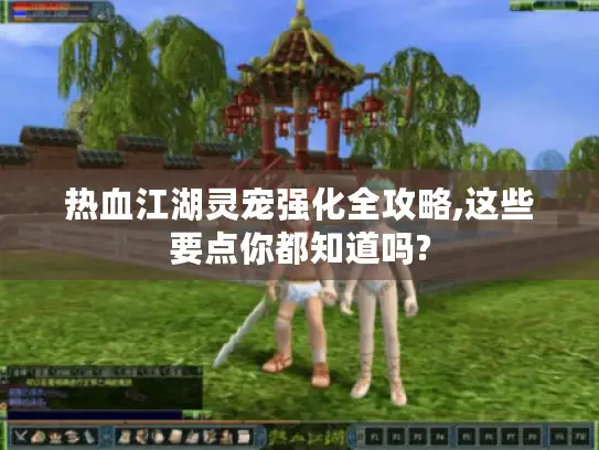 热血江湖灵宠强化全攻略,这些要点你都知道吗?