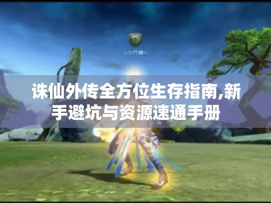 诛仙外传全方位生存指南,新手避坑与资源速通手册