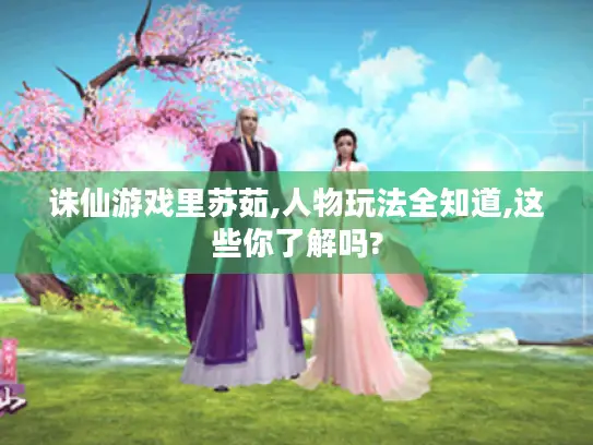 诛仙游戏里苏茹,人物玩法全知道,这些你了解吗?