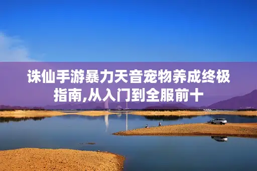 诛仙手游暴力天音宠物养成终极指南,从入门到全服前十
