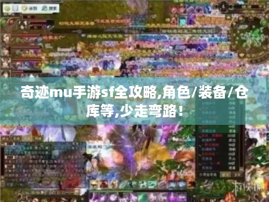 奇迹mu手游sf全攻略,角色/装备/仓库等,少走弯路！