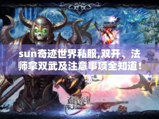 sun奇迹世界私服,双开、法师拿双武及注意事项全知道！