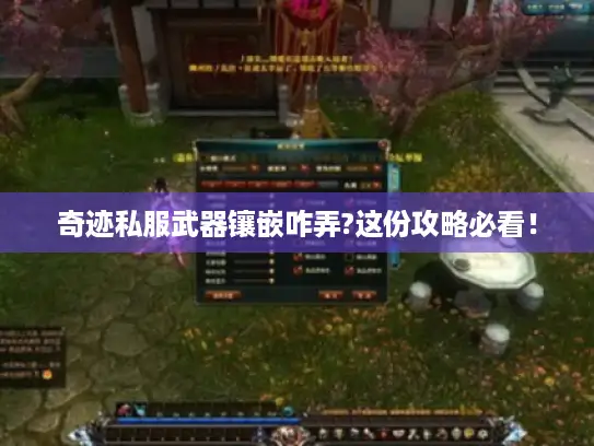 奇迹私服武器镶嵌咋弄?这份攻略必看！