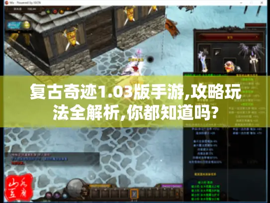 复古奇迹1.03版手游,攻略玩法全解析,你都知道吗? 复古奇迹1.03版手游,攻略玩法全解析,你都知道吗?