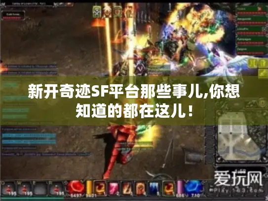 新开奇迹SF平台那些事儿,你想知道的都在这儿！