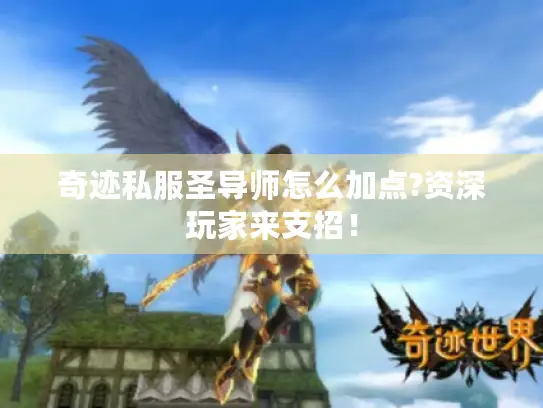 奇迹私服圣导师怎么加点?资深玩家来支招！