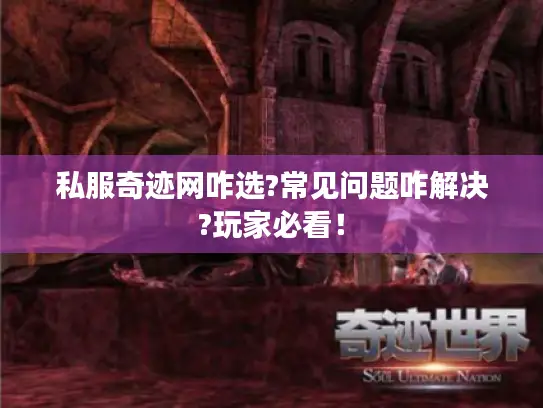 私服奇迹网咋选?常见问题咋解决?玩家必看！