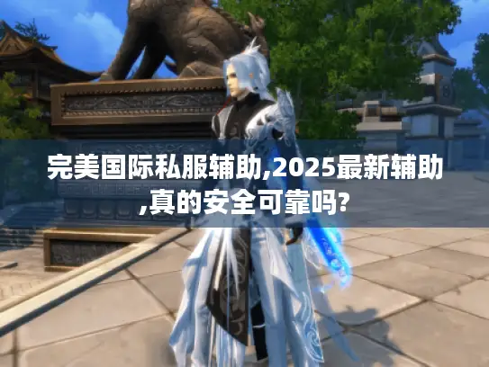 完美国际私服辅助,2025最新辅助,真的安全可靠吗?