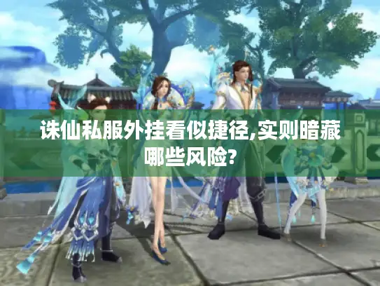 诛仙私服外挂看似捷径,实则暗藏哪些风险?