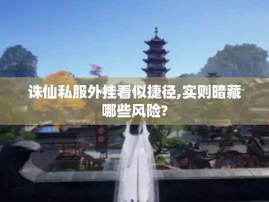 诛仙私服外挂看似捷径,实则暗藏哪些风险?