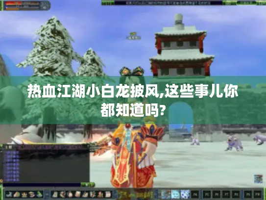 热血江湖小白龙披风,这些事儿你都知道吗?