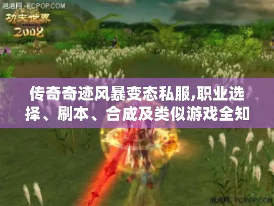 传奇奇迹风暴变态私服,职业选择、刷本、合成及类似游戏全知道！