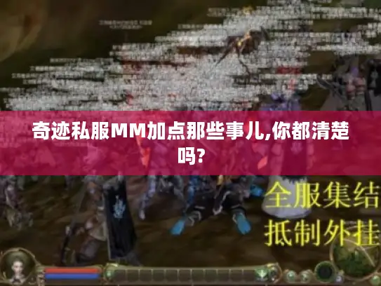 奇迹私服MM加点那些事儿,你都清楚吗? 奇迹私服MM加点那些事儿,你都清楚吗?