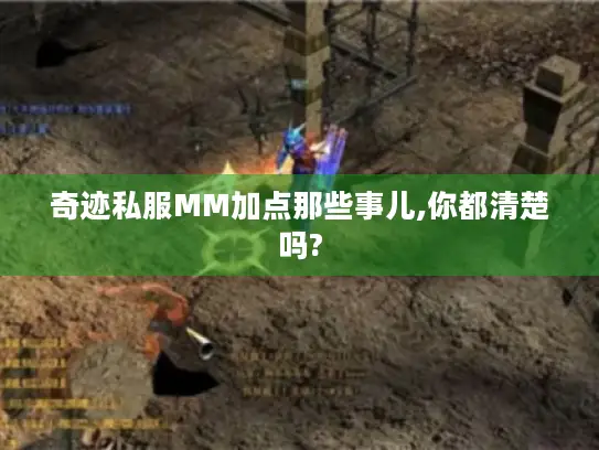 奇迹私服MM加点那些事儿,你都清楚吗? 奇迹私服MM加点那些事儿,你都清楚吗?