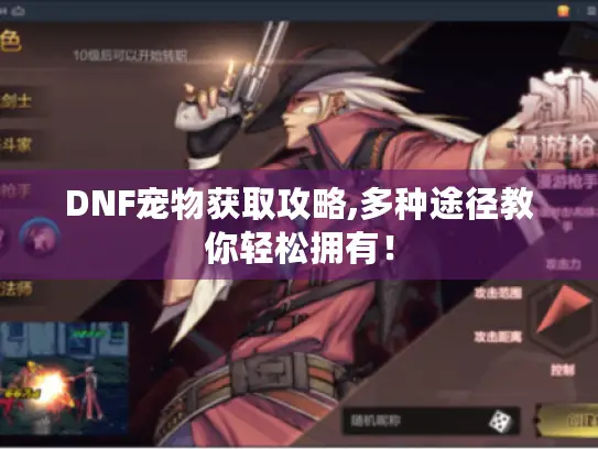 DNF宠物获取攻略,多种途径教你轻松拥有! DNF宠物获取攻略,多种途径教你轻松拥有!