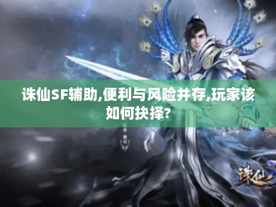 诛仙SF辅助,便利与风险并存,玩家该如何抉择?