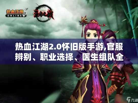 热血江湖2.0怀旧版手游,官服辨别、职业选择、医生组队全攻略！