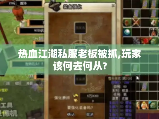热血江湖私服老板被抓,玩家该何去何从? 热血江湖私服老板被抓,玩家该何去何从?