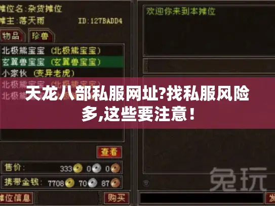 天龙八部私服网址?找私服风险多,这些要注意！