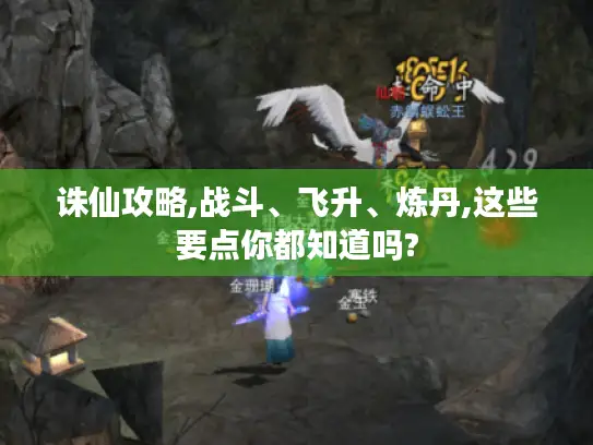 诛仙攻略,战斗、飞升、炼丹,这些要点你都知道吗?