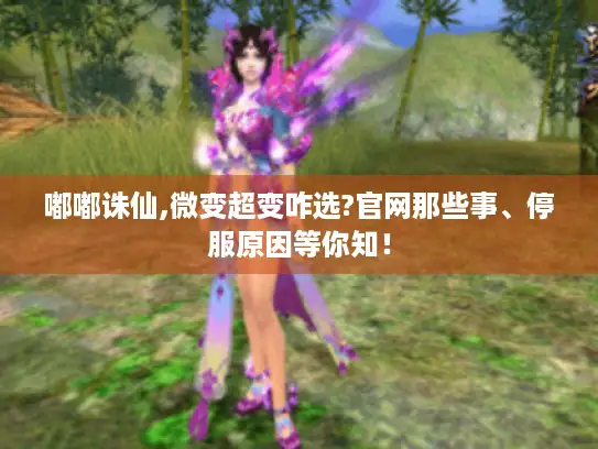 嘟嘟诛仙,微变超变咋选?官网那些事、停服原因等你知! 嘟嘟诛仙,微变超变咋选?官网那些事、停服原因等你知!