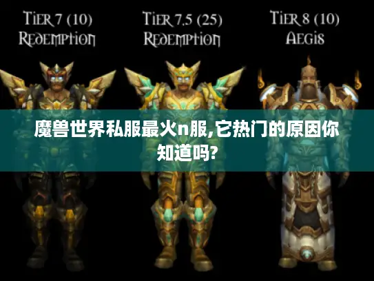 魔兽世界私服最火n服,它热门的原因你知道吗?