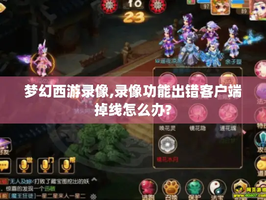 梦幻西游录像,录像功能出错客户端掉线怎么办?