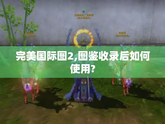 完美国际图2,图鉴收录后如何使用?