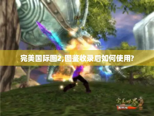 完美国际图2,图鉴收录后如何使用?