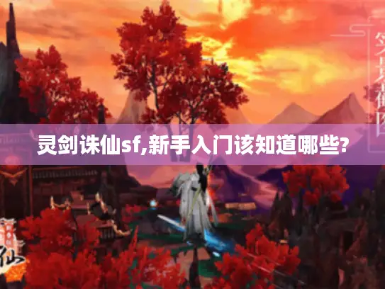 灵剑诛仙sf,新手入门该知道哪些?