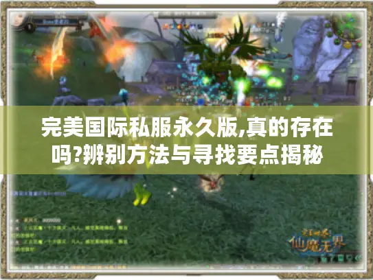 完美国际私服永久版,真的存在吗?辨别方法与寻找要点揭秘