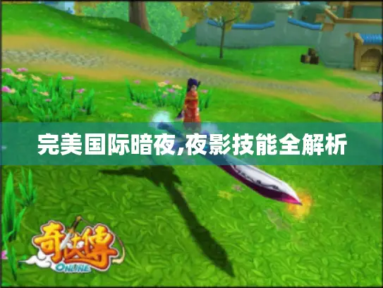 完美国际暗夜,夜影技能全解析