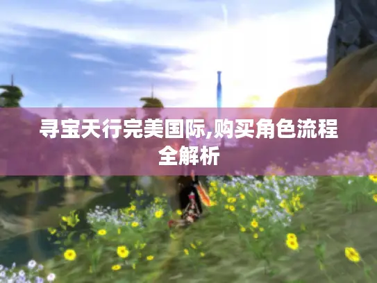 寻宝天行完美国际,购买角色流程全解析