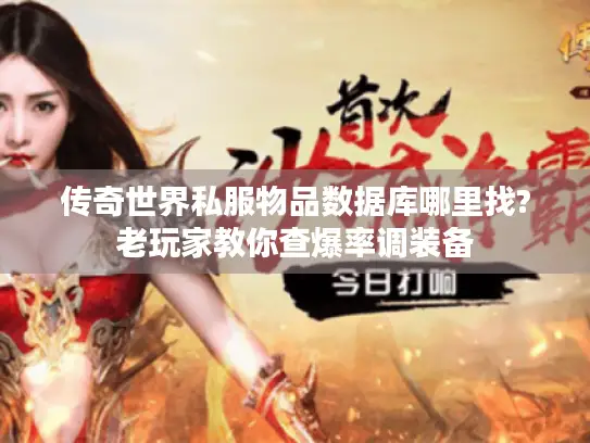 传奇世界私服物品数据库哪里找?老玩家教你查爆率调装备