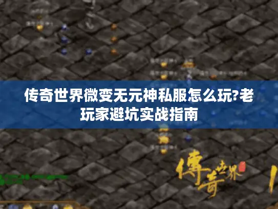 传奇世界微变无元神私服怎么玩?老玩家避坑实战指南