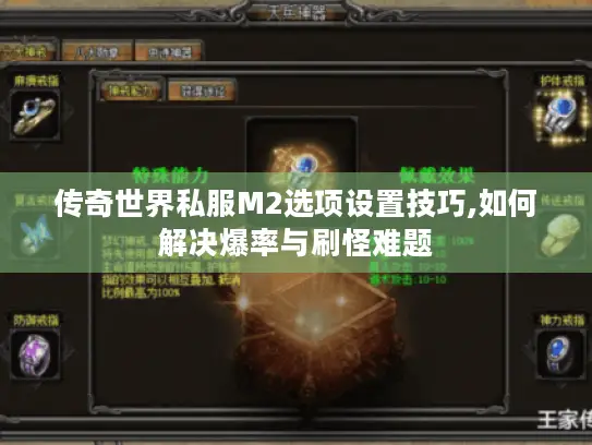 传奇世界私服M2选项设置技巧,如何解决爆率与刷怪难题