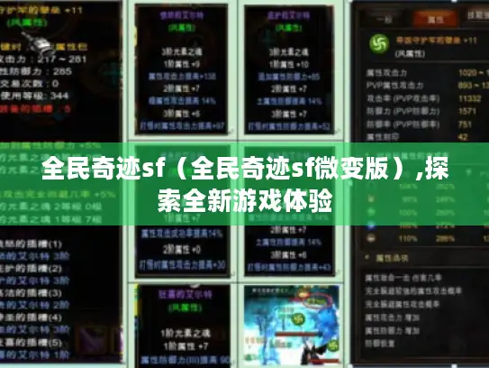 全民奇迹sf(全民奇迹sf微变版),探索全新游戏体验 全民奇迹sf(全民奇迹sf微变版),探索全新游戏体验