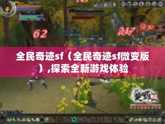 全民奇迹sf（全民奇迹sf微变版）,探索全新游戏体验