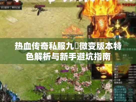 热血传奇私服九龍微变版本特色解析与新手避坑指南
