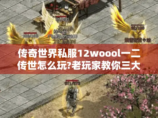 传奇世界私服12woool一二传世怎么玩?老玩家教你三大技巧