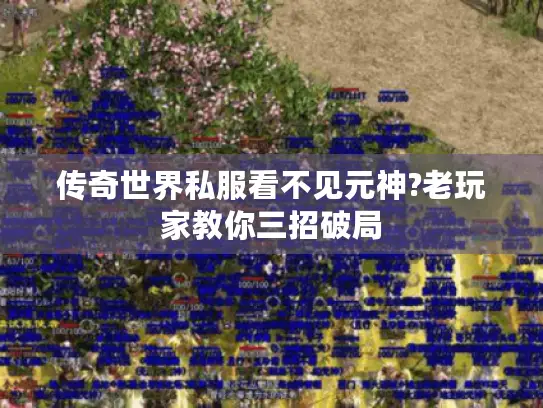 传奇世界私服看不见元神?老玩家教你三招破局