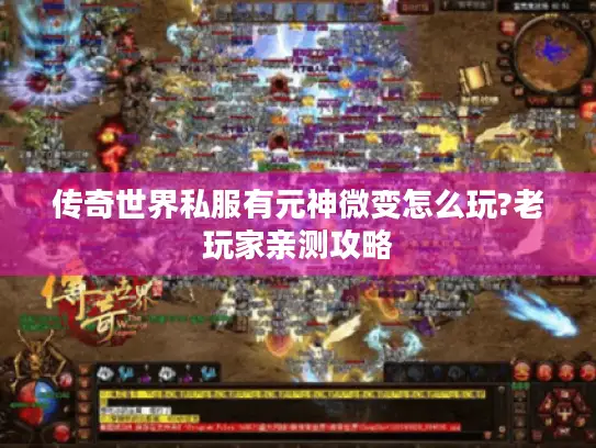 传奇世界私服有元神微变怎么玩?老玩家亲测攻略